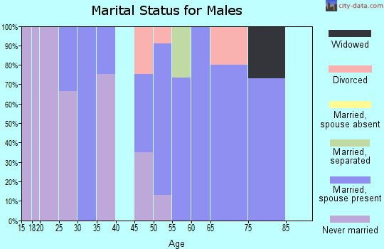 Zip code 21822 marital status for males