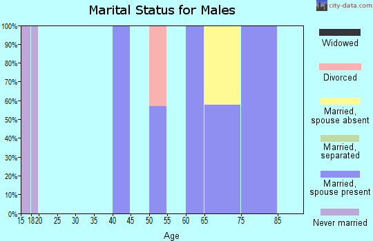 Zip code 21840 marital status for males