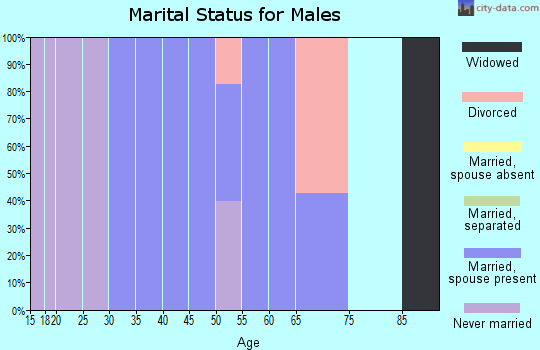 Zip code 21841 marital status for males