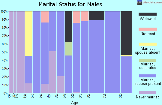 Zip code 21849 marital status for males