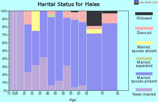 Zip code 21850 marital status for males