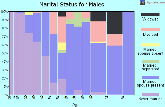 Zip code 21851 marital status for males