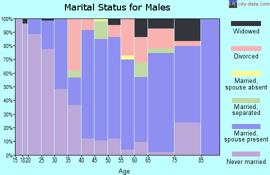 Zip code 21853 marital status for males