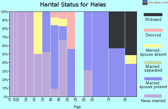 Zip code 21856 marital status for males