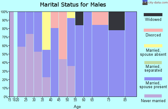 Zip code 21861 marital status for males