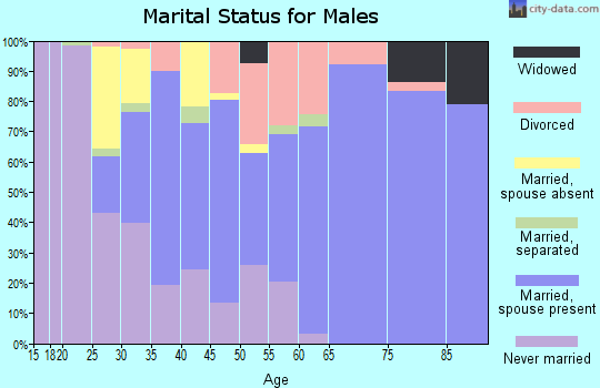 Zip code 21863 marital status for males