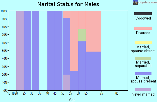 Zip code 21864 marital status for males