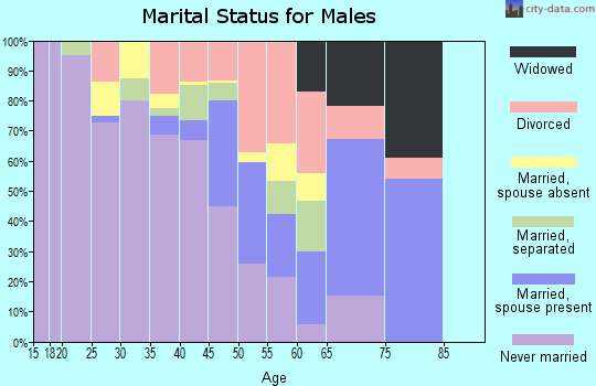 Zip code 21871 marital status for males