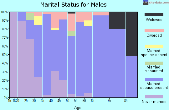 Zip code 21875 marital status for males