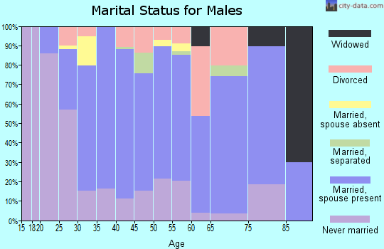 Zip code 21901 marital status for males