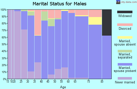 Zip code 21904 marital status for males