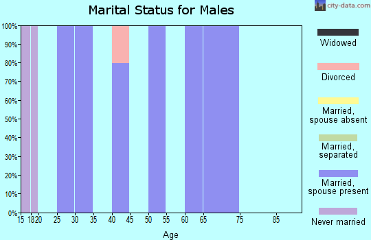 Zip code 21912 marital status for males