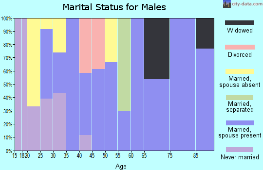 Zip code 21913 marital status for males