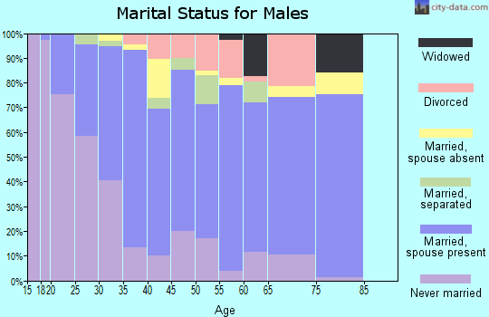 Zip code 22026 marital status for males