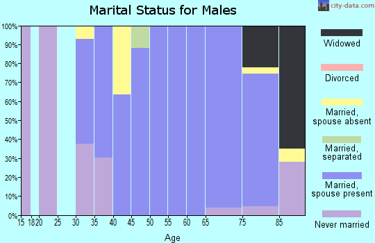 Zip code 22027 marital status for males