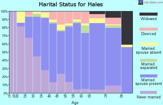 Zip code 22031 marital status for males