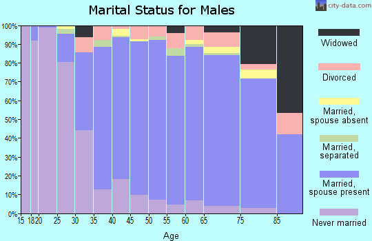 Zip code 22032 marital status for males