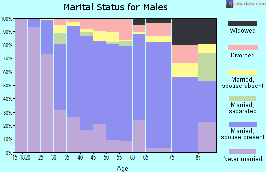 Zip code 22043 marital status for males
