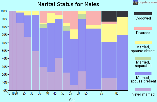 Zip code 22044 marital status for males