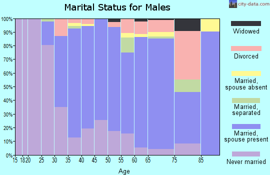 Zip code 22046 marital status for males