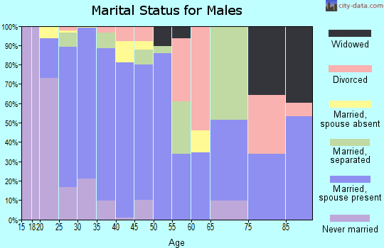Zip code 22060 marital status for males