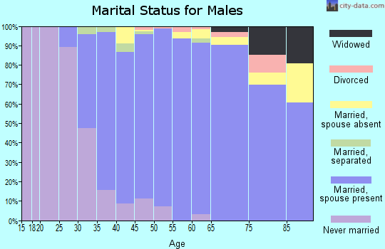 Zip code 22066 marital status for males
