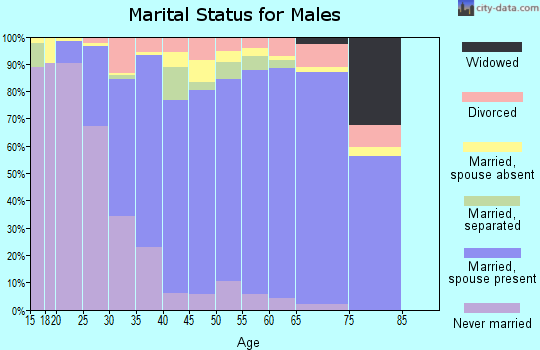 Zip code 22079 marital status for males