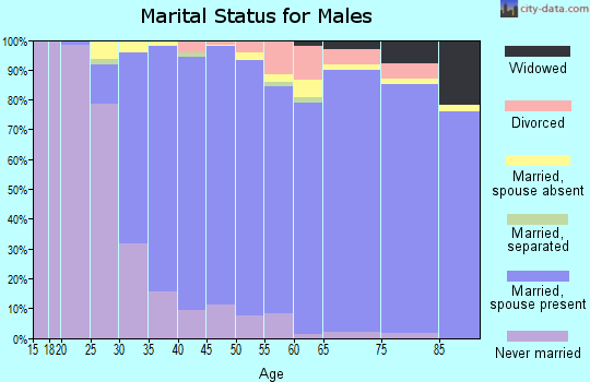 Zip code 22101 marital status for males