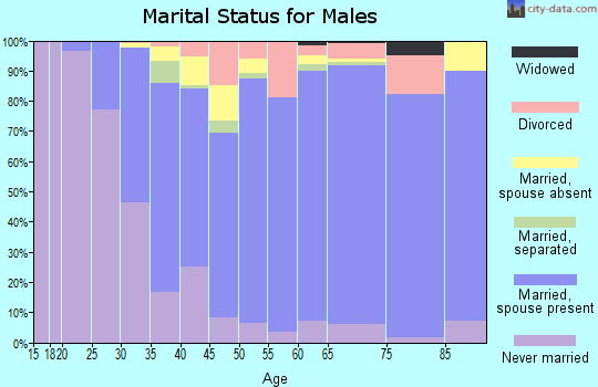 Zip code 22102 marital status for males