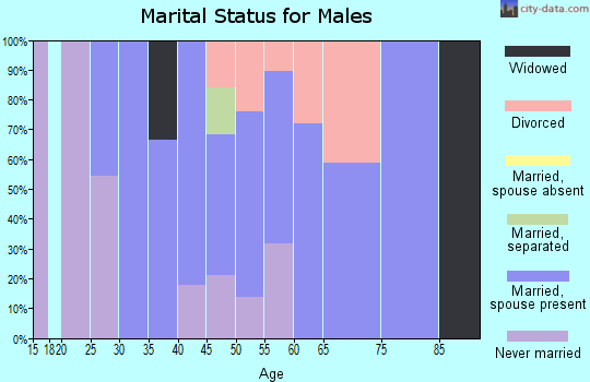 Zip code 22125 marital status for males