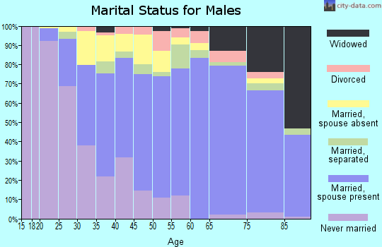 Zip code 22150 marital status for males