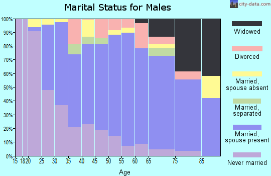 Zip code 22151 marital status for males