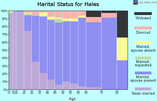 Zip code 22153 marital status for males