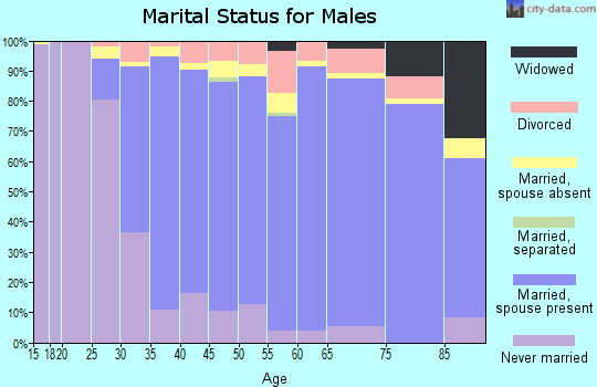 Zip code 22180 marital status for males