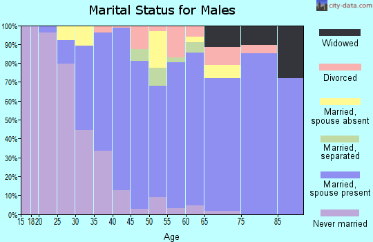 Zip code 22181 marital status for males