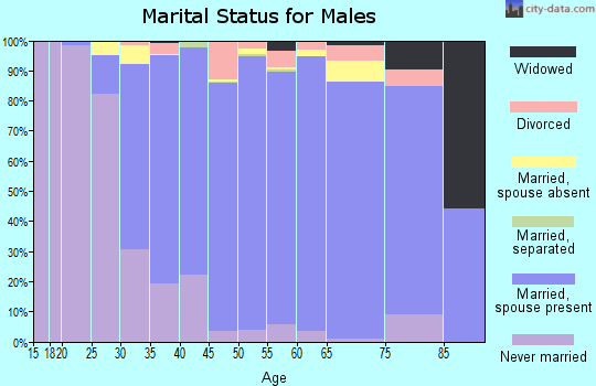Zip code 22182 marital status for males