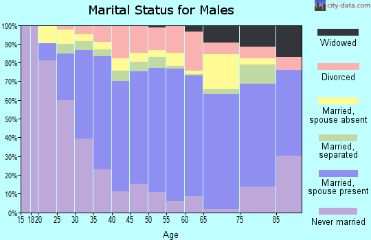 Zip code 22191 marital status for males
