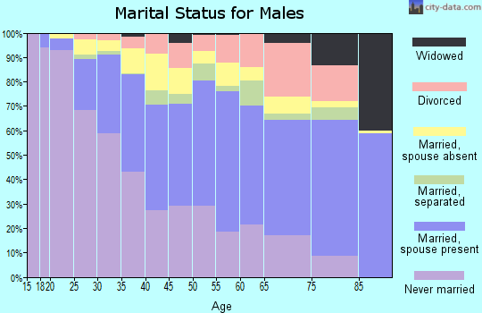 Zip code 22204 marital status