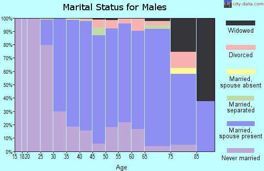 Zip code 22205 marital status for males