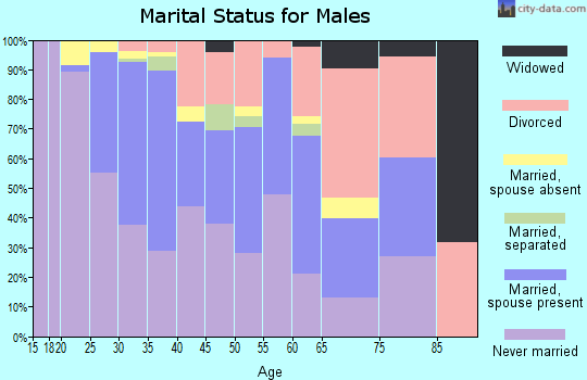 Zip code 22206 marital status for males
