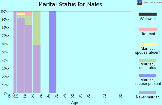 Zip code 22211 marital status for males