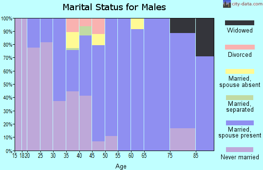 Zip code 22213 marital status for males