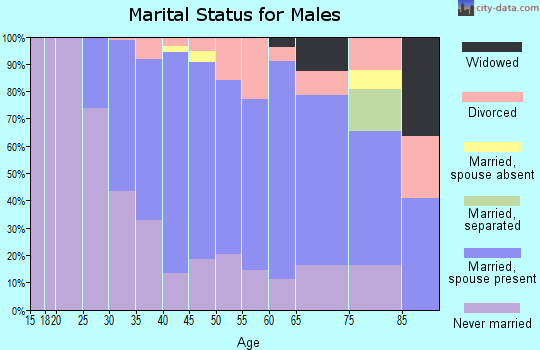 Zip code 22301 marital status for males