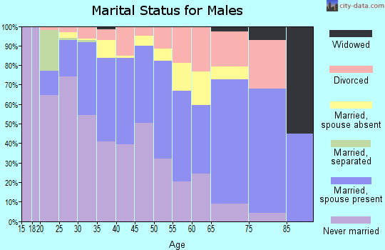 Zip code 22303 marital status for males
