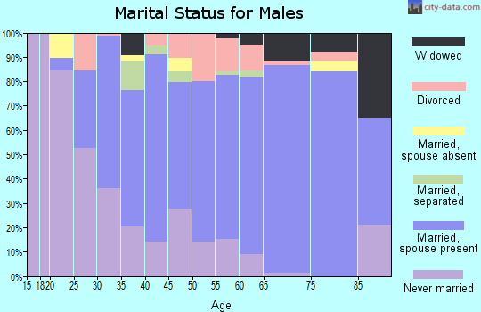 Zip code 22307 marital status for males