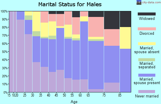 Zip code 22311 marital status for males