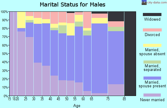 Zip code 22312 marital status for males