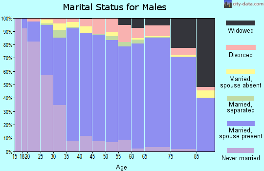 Zip code 22405 marital status for males