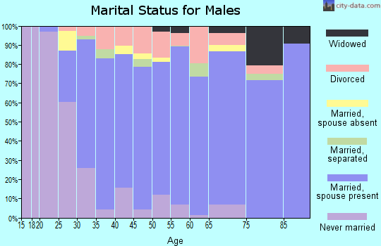 Zip code 22406 marital status for males