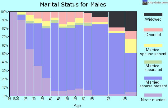Zip code 22407 marital status for males